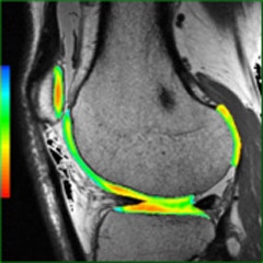 Image clinique READY View
