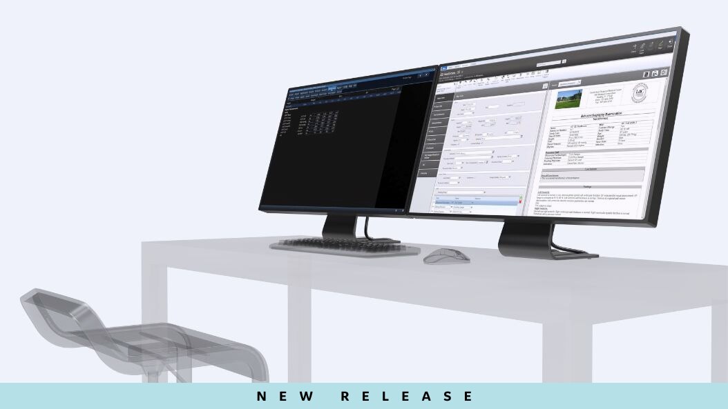Vivid Ultrasound Products & Solutions | GE HealthCare